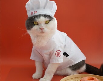 cat chef costume