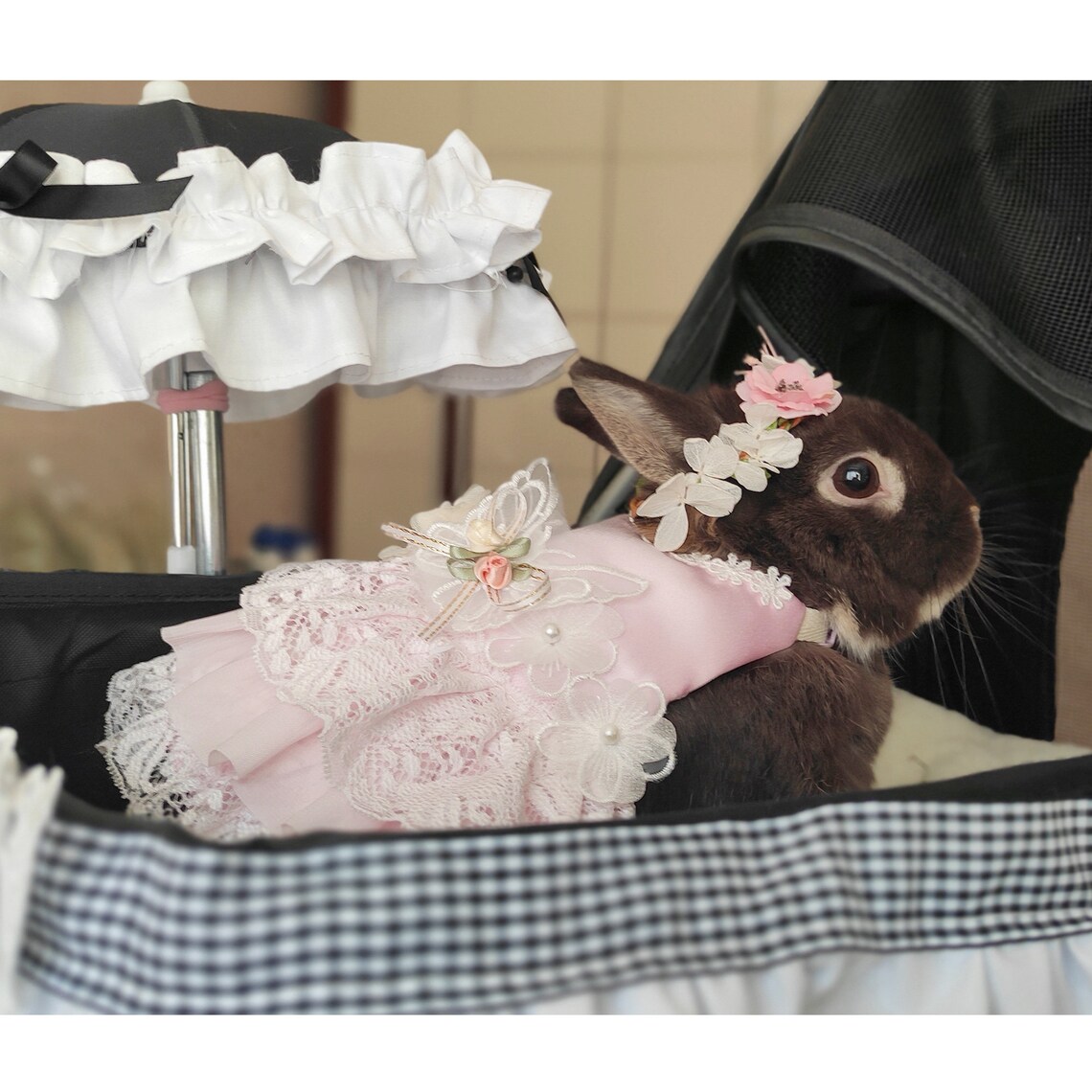 Bunny Wedding Dress Rabbit Harness Dress Leash Set Small Pet Etsy