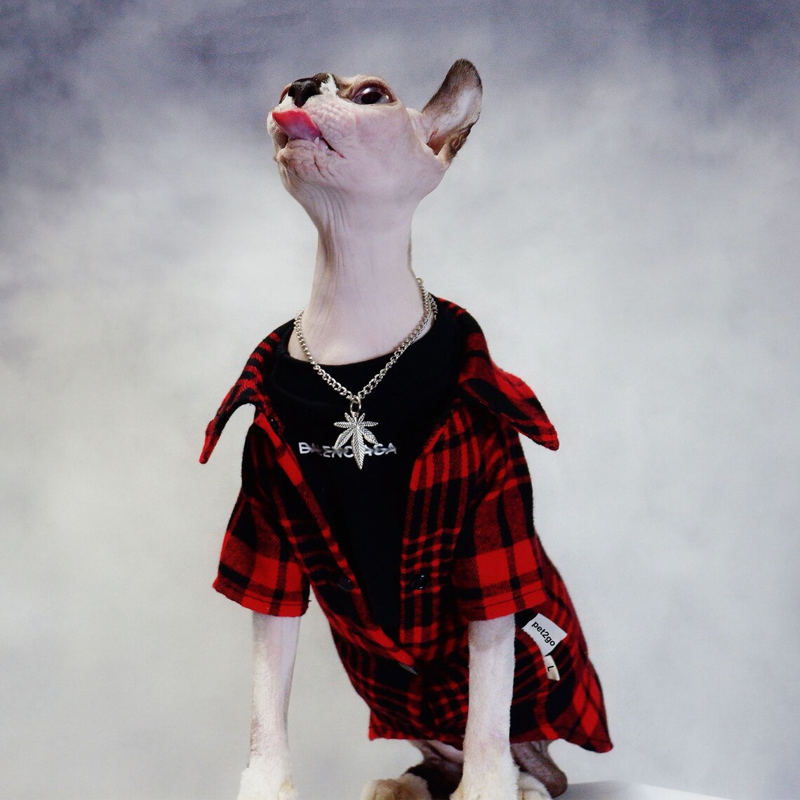 Sphynx Cat Clothes Gentleman Shirt Summer Jumper Cat Romper Etsy