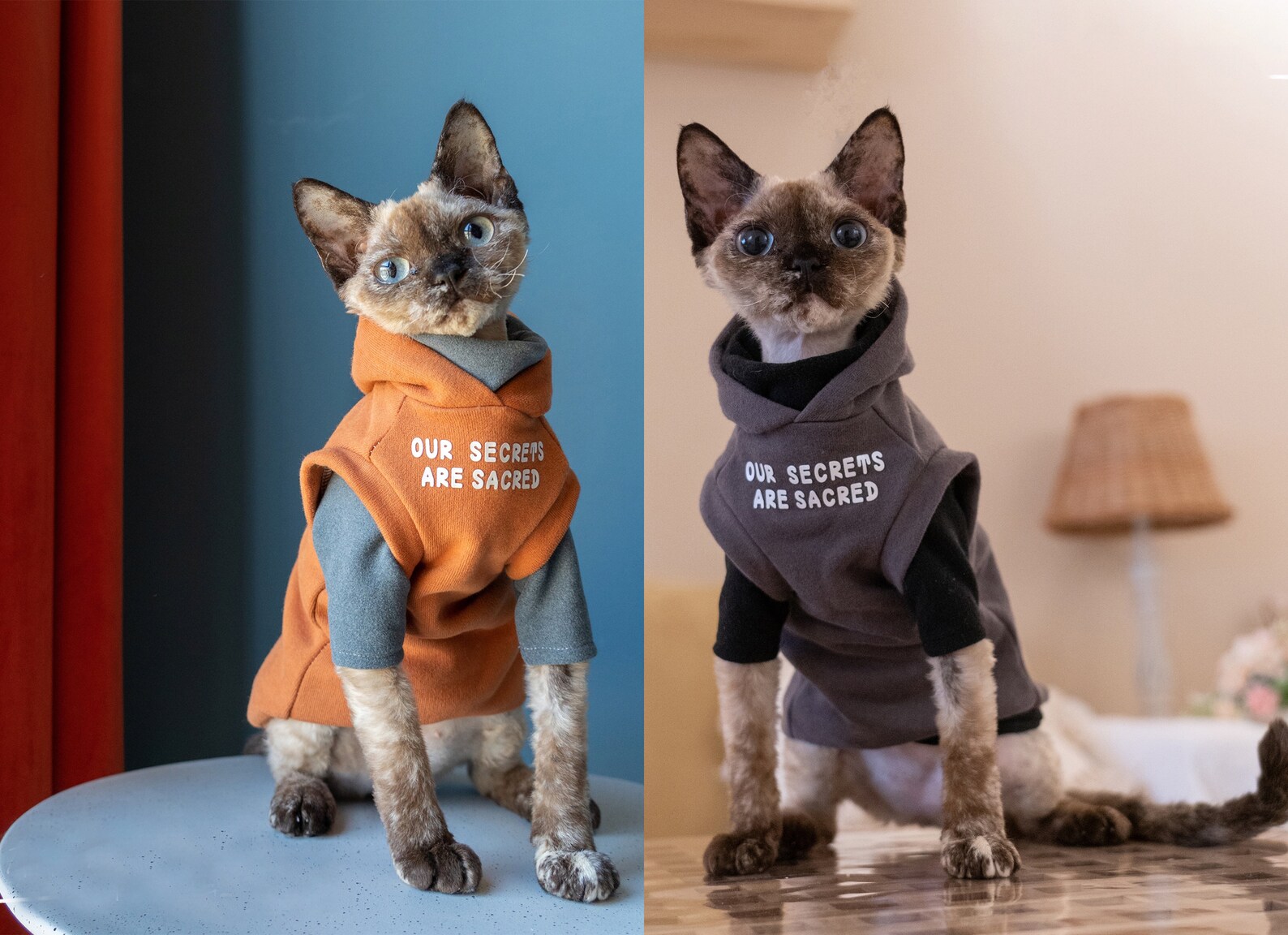 Sphynx Cat Clothes Hoodie Hairless Cat Romper Catsuit Jumpsuit Etsy