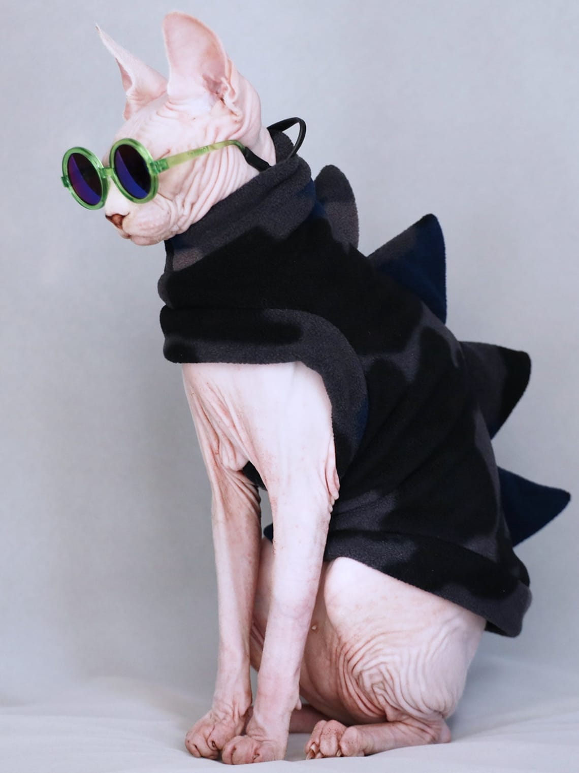 Sphynx Cat Clothes Winter Cat Jumper Cat Romper Catsuit Etsy