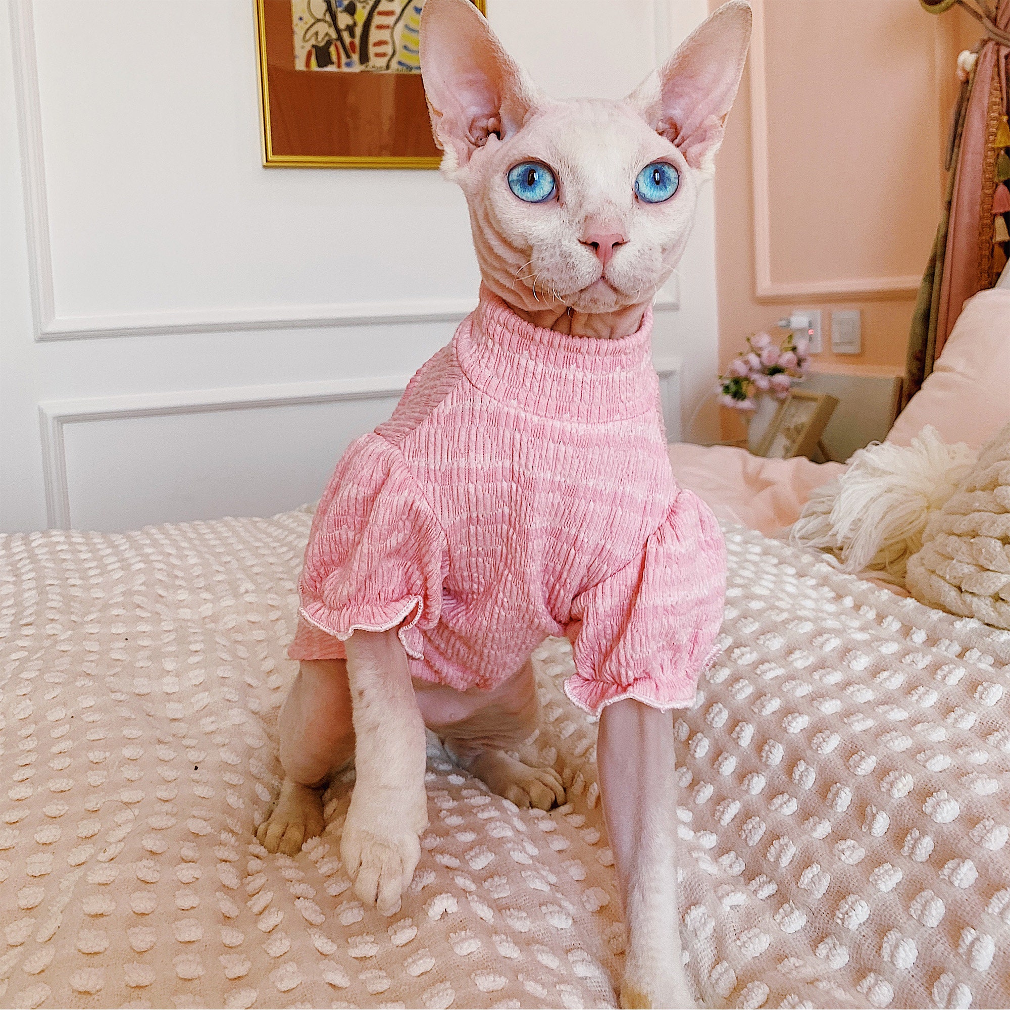 Sphynx Cat Tee Shirt Hairless Cat Clothes Summer Romper Etsy