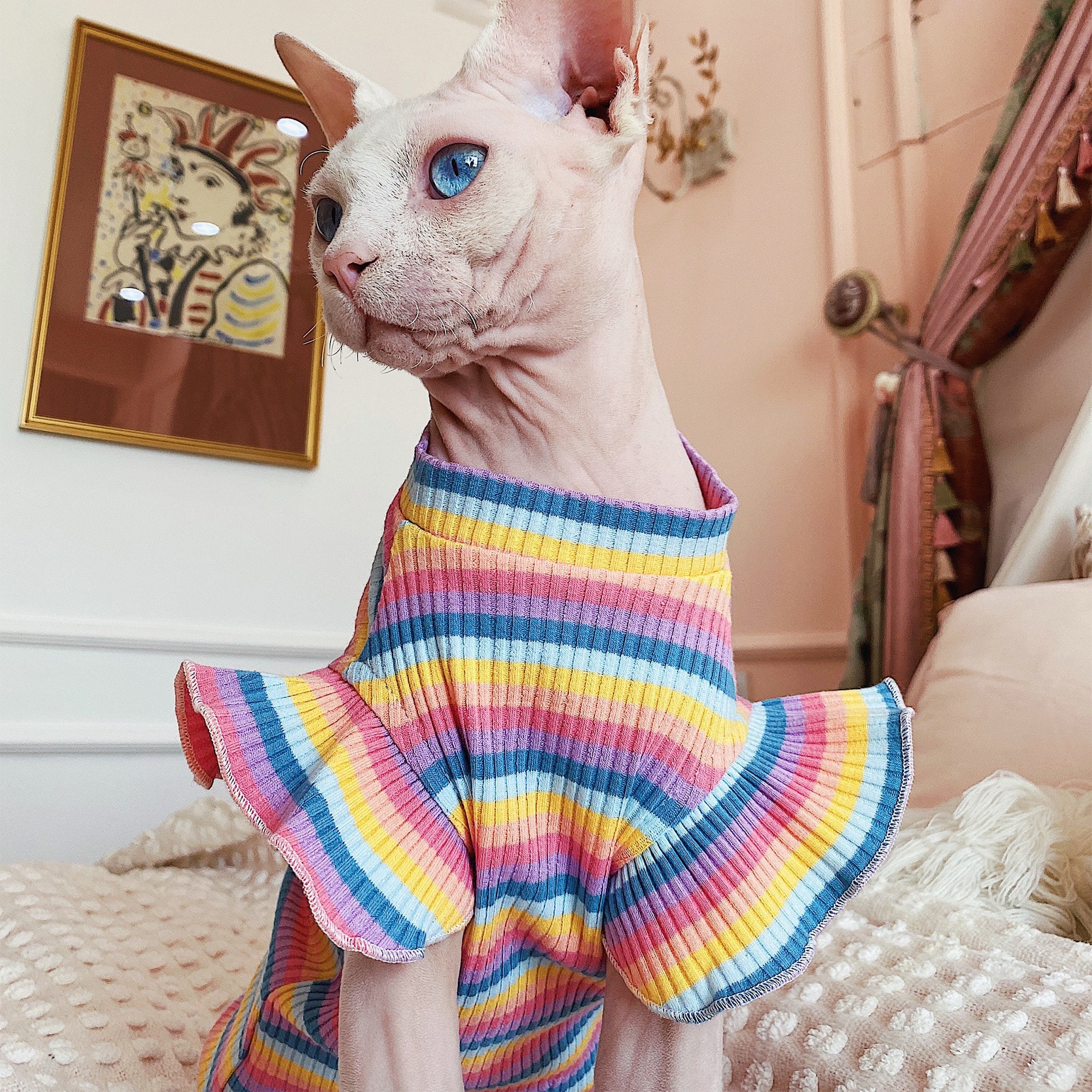 Sphynx Katze TShirt haarlose Katze Kleidung Sommer Strampler Etsy