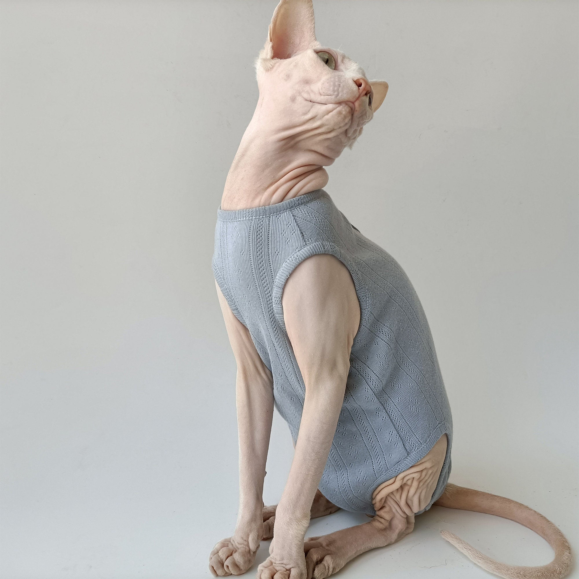Sphynx Cat Tshirt Hairless Cat Clothes Summer Vest Romper Etsy