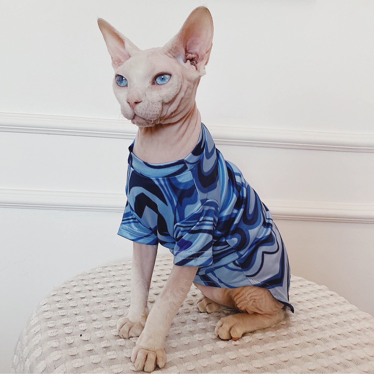 Sphynx Cat Tee Shirt Hairless Cat Clothes Summer Romper Etsy