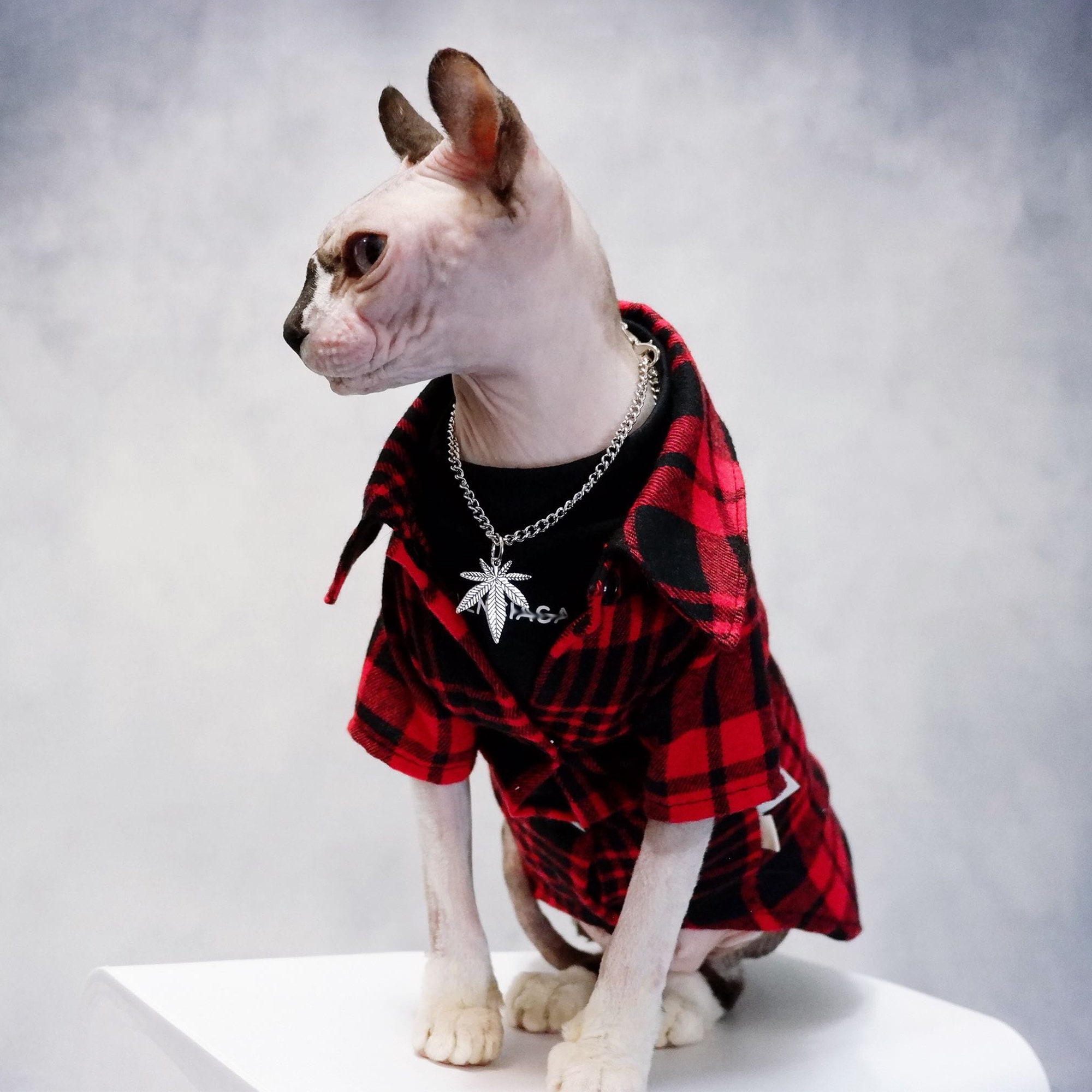 Sphynx Cat Clothes Gentleman Shirt Summer Jumper Cat Romper Etsy