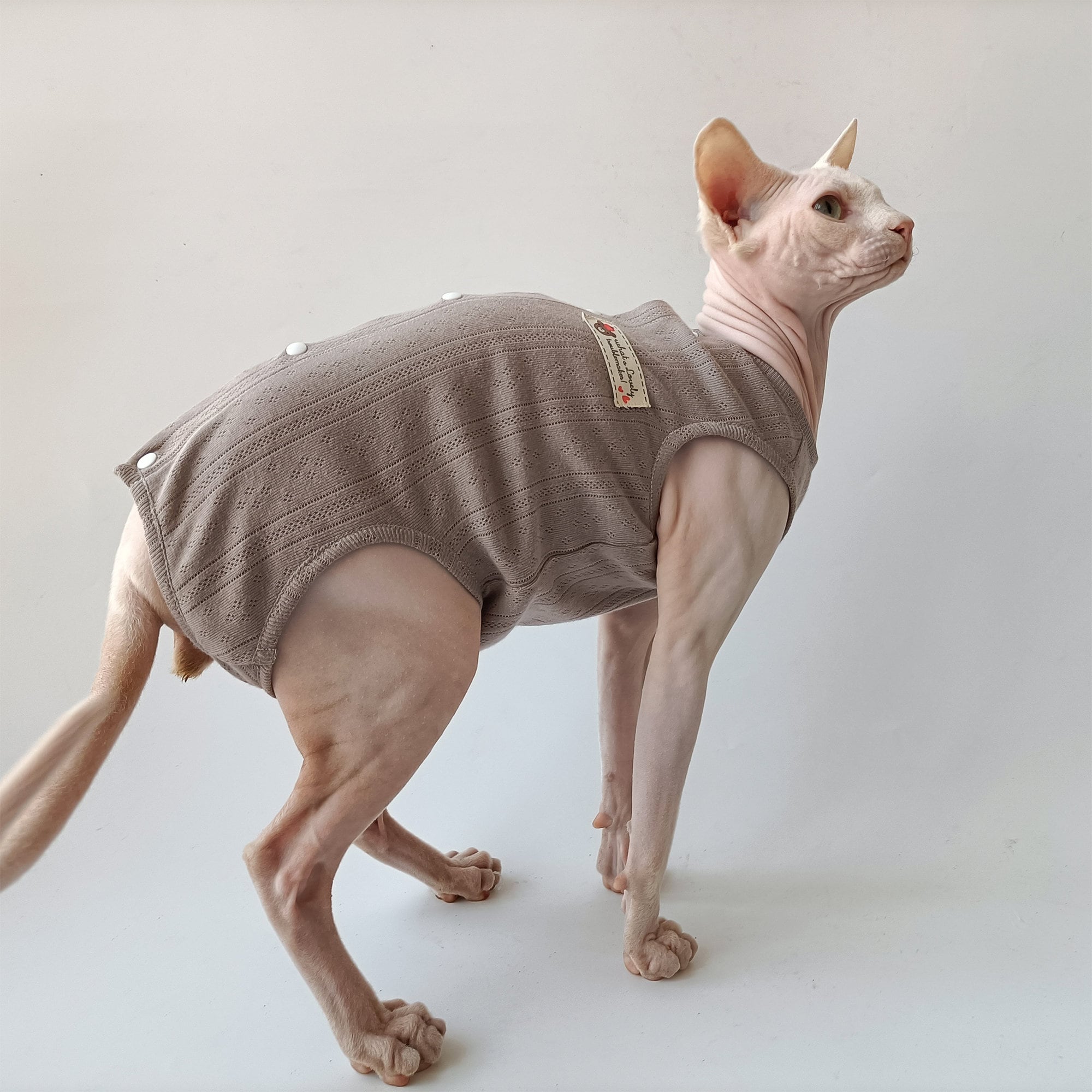 Sphynx Cat Tshirt Hairless Cat Clothes Summer Vest Romper Etsy