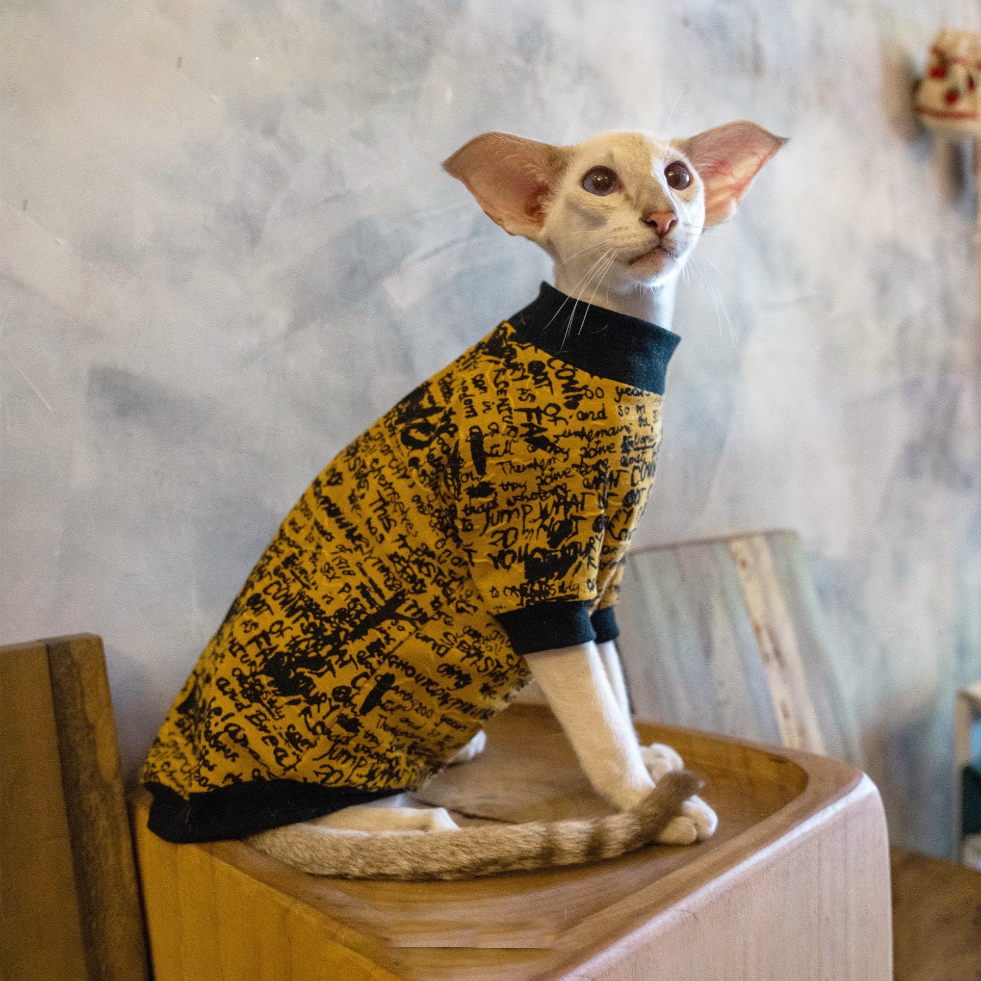 Devon Rex Clothes Hairless Cat Romper Jumpsuit Sweater Hoodie | Etsy