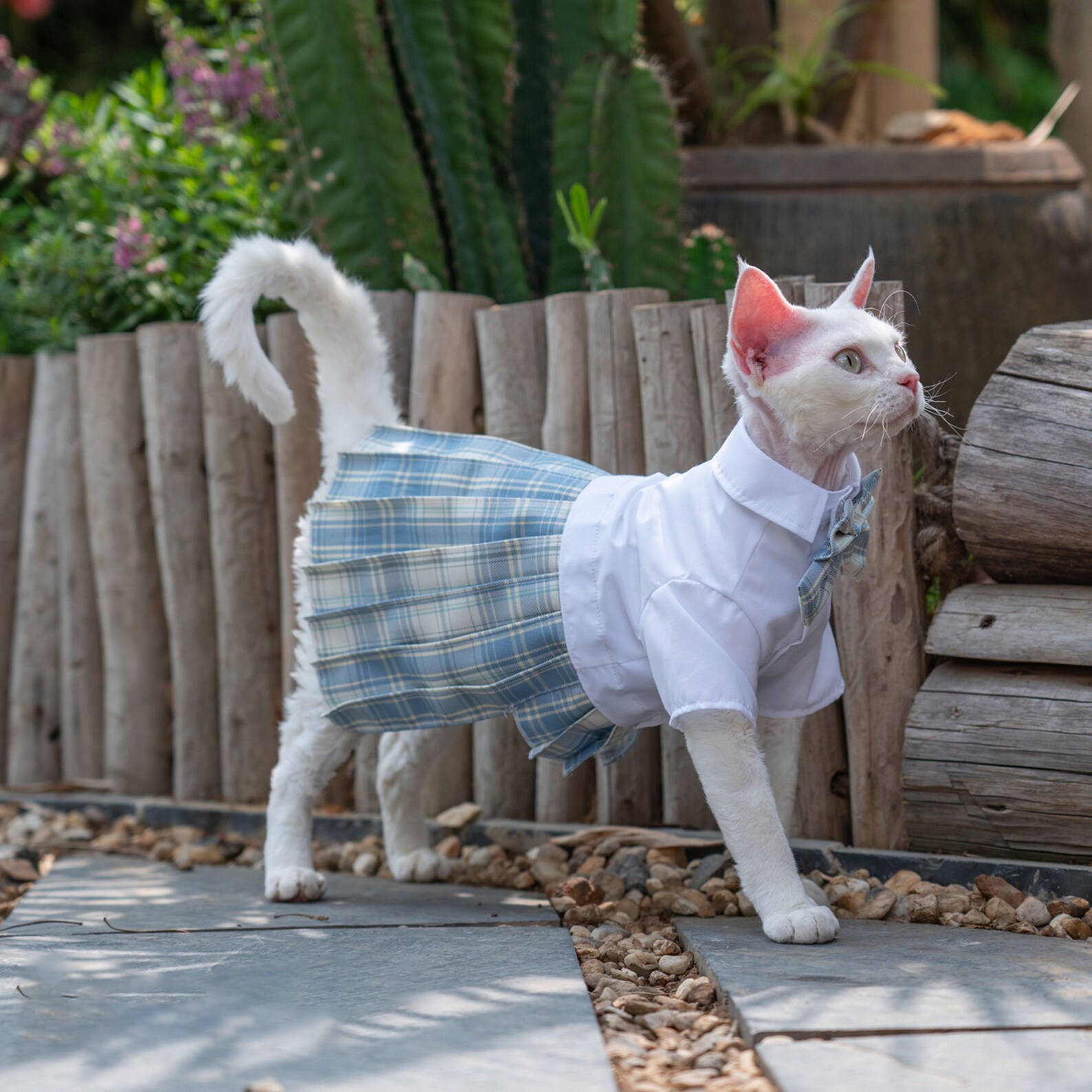 Sphynx Cat Dress Hairless Cat School Uniform Summer Romper Etsy