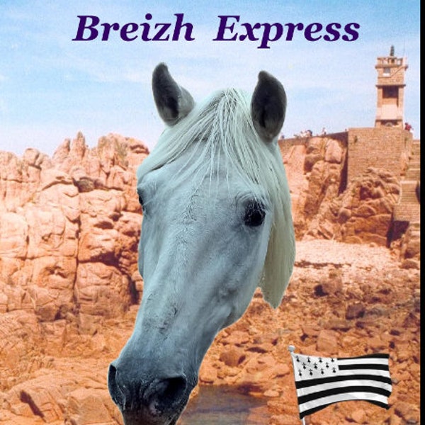 Tobias Breizh Express ou la Croisade des animaux
