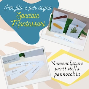 Può includere: Un'attività di apprendimento Montessori per insegnare le diverse parti di una pannocchia di mais. L'attività include un set di carte con immagini ed etichette per le diverse parti della pannocchia di mais, come la spiga, la barba e i chicchi. Le carte sono etichettate in italiano.