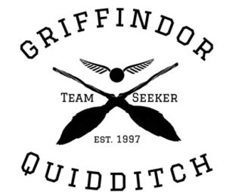 Download Quidditch Snitch Etsy