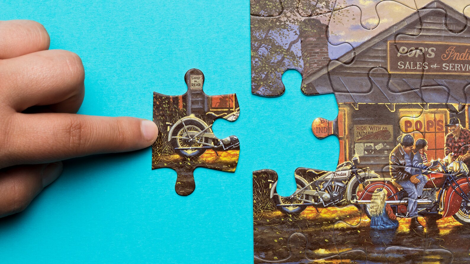 Jigsaw Puzzle for Adults 1000 , 1000 Pieces Puzzle for Adults Colorful