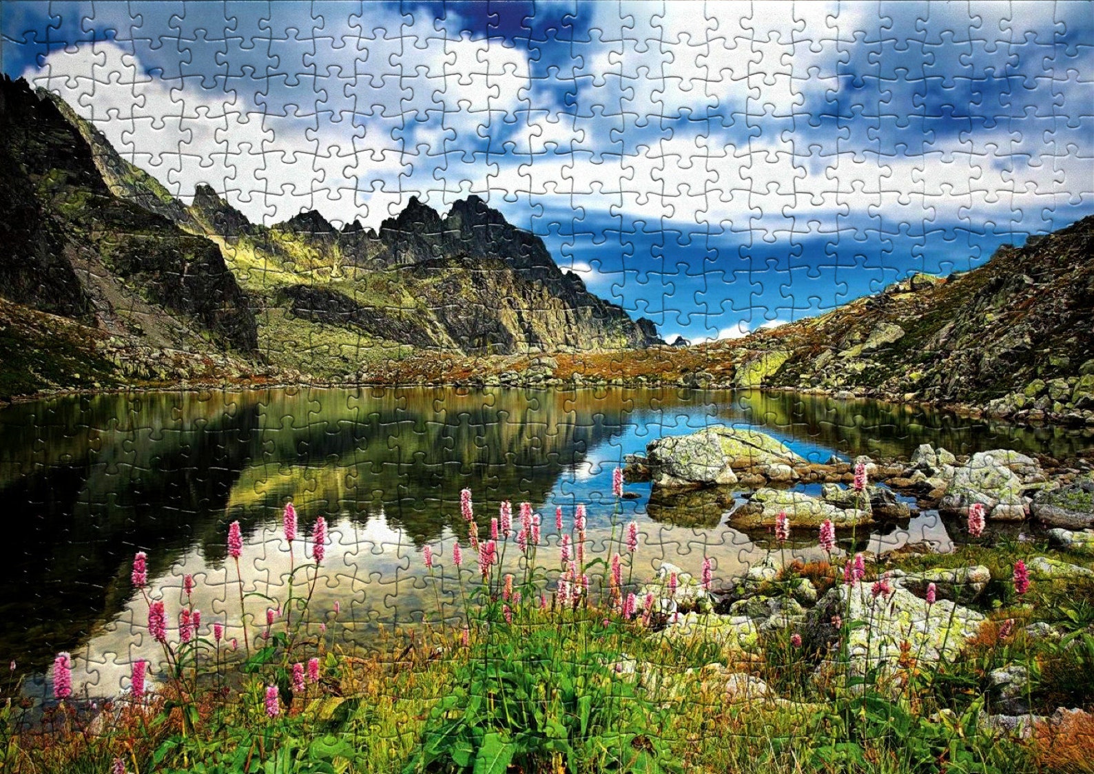 3000 Piece Jigsaw Puzzle ,puzzle for Adults , Colorful Puzzle