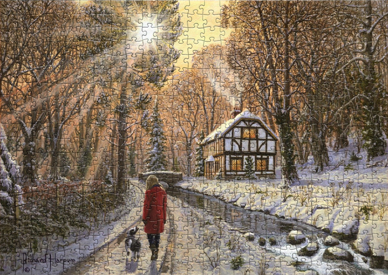 2000 Piece Jigsaw Puzzle , Puzzle for Adults , Colorful Puzzle