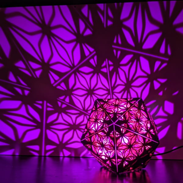 Neuron Star - Assembled and finished shadow lamp