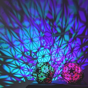 Neuron Star - Assembled and finished shadow lamp