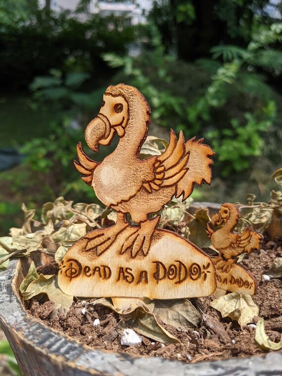 Buy Dudley the Dodo Plant Pal Online in India - Etsy