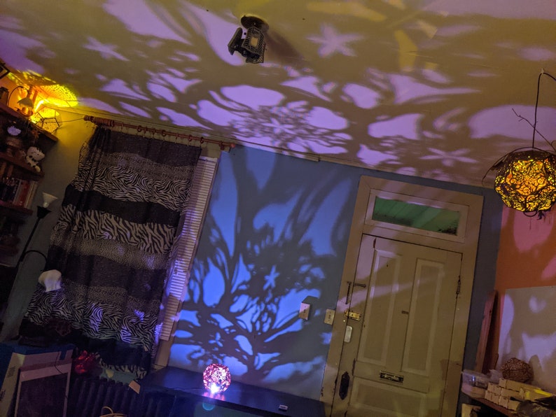 Puede incluir: Una habitaci&oacute;n con una pared azul y una puerta blanca. El techo est&aacute; cubierto de sombras de una l&aacute;mpara. Hay una l&aacute;mpara en el suelo y una l&aacute;mpara en una mesa. La l&aacute;mpara de la mesa proyecta la sombra de un &aacute;rbol en la pared.