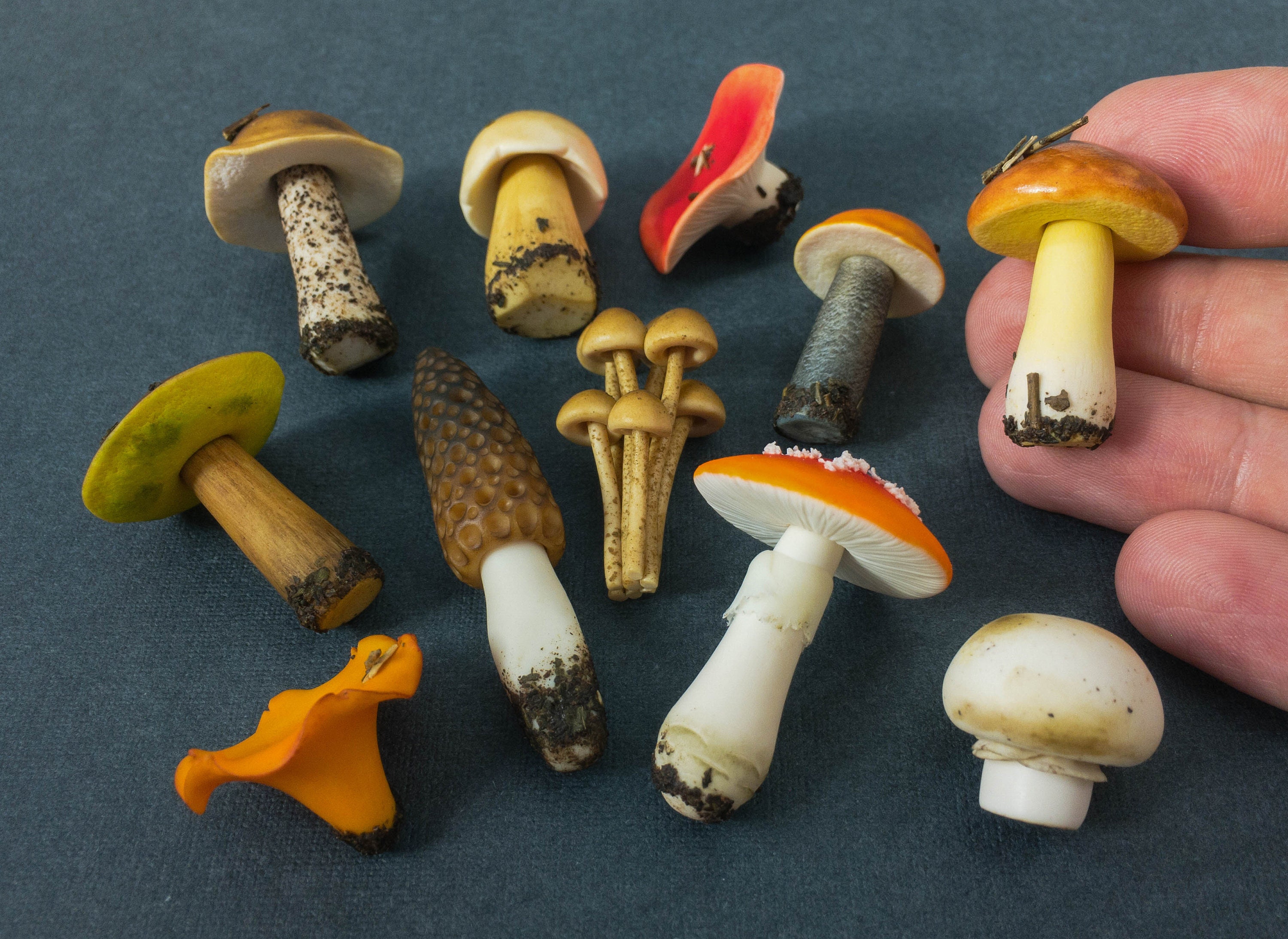 Miniature mushrooms 11 pcs. Mushrooms handmade of polymer | Etsy