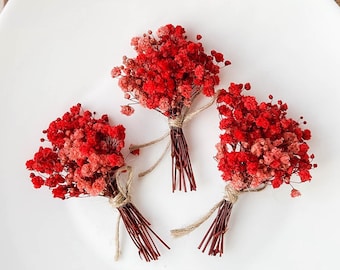 Dried Red Gypsophilia mini flowers, Natural Baby’s breath small bouquet, Dried tiny flowers for resin jewelry, floral arrangements