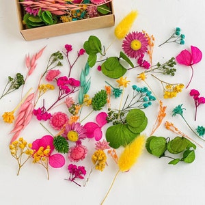 Dried flowers for resin jewelry, TROPICAL tiny flower set, Multicolor dry mini flowers mix, Colorful Gypsophila, Green Hydrangea