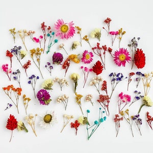 70 pcs tiny flowers for resin jewelry, large set of dried flowers, dry mini baby breath, small gypshophila, phalaris, Ozothamnus, Limonium