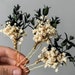 see more listings in the Dried flower hair pins section