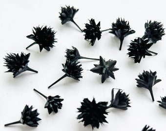 Teste di fiori di Black Hill, veri fiori secchi per la creazione di gioielli in resina, mini fiori secchi neri,
