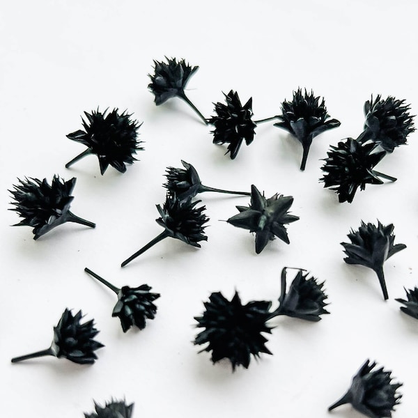 Black Dried Flowers Etsy