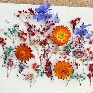 Dried flowers for resin, dry mini flowers, dried baby breath flowers, mini flowers set, gypshophila, Hydrangea, Ozothamnus, helichrysum