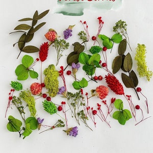 Dried flowers for resin jewelry, FOREST BERRIES tiny flower set, Multicolor dry mini flowers mix, Green Hydrangea, Phalaris, Broom Bloom