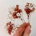 see more listings in the Dried flower hair pins section