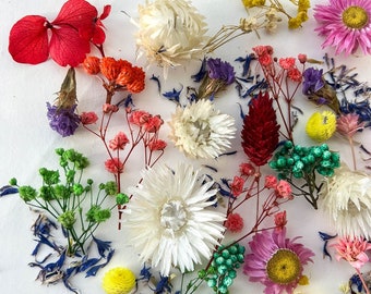 Getrocknete Blüten für Resin, trockene Miniblüten, getrocknete Schleierkraut Blüten, Miniblüten Set, Schleierkraut, Hortensie, Ozothamnus, Helichrysum