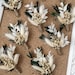 see more listings in the Boutonnières section