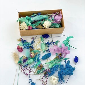 Tiny flowers for resin, Dried Blue Flowers, Dry moss, hydrangea, gypsophila,Tiny blue flowers leaves, small flowers for resin jewelry supply
