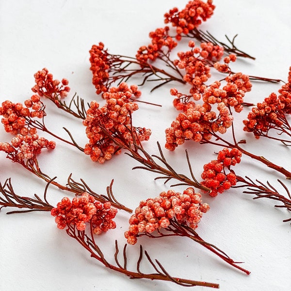 Dried flowers for resin jewelry, Real Orange Red Ozothamnus flowers, dry flowers small, mini tiny flowers for crafting, small rice flowers