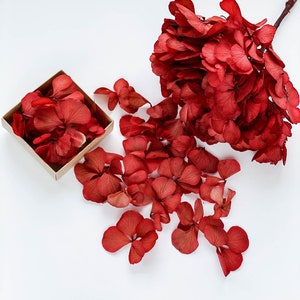 Dried Hydrangea leaves petals, small flowers for resin jewelry, real tiny flowers for epoxy, Red wedding flowers decor