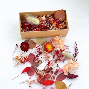 Tiny flowers for resin, Dried Red Flowers, Dry moss, hydrangea, gypsophila, Tiny red flowers leaves, small flowers for resin jewelry supply