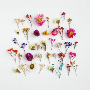 Tiny flowers for resin jewelry, large set of 40 pcs of dried flowers set, dry mini baby breath, gypshophila, phalaris, limonium