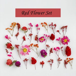 Tiny flowers for resin jewelry, large set of 40 pcs of dried RED flowers set, dry mini baby breath, gypshophila, phalaris