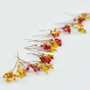 Dried Flowers for Resin jewelry, Broom Bloom colorful tiny flowers, soap candle making crafts, epoxy jewelry supply, small flowers