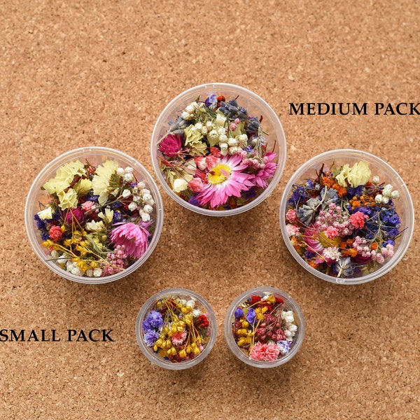 Dried tiny flowers for resin, tiny flowers for resin jewelry, Resin supply Mini garden, Mini flower mix for resin Blue purple red dry flower