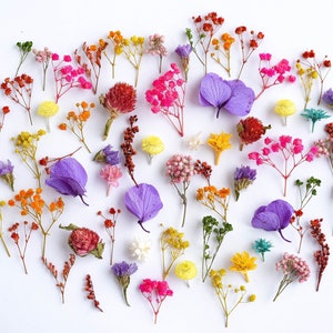 70 pcs tiny flowers for resin jewelry, large set of dried flowers, dry mini baby breath, small gypshophila, Hydrangea, Ozothamnus, Limonium