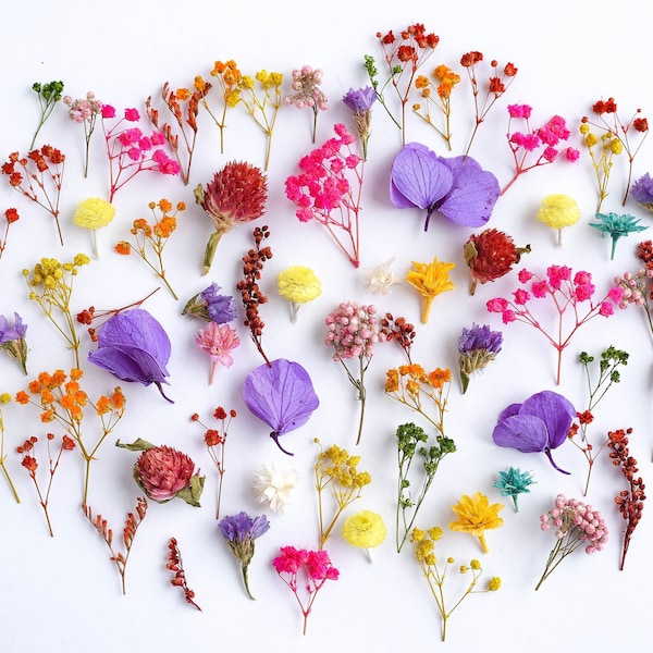 Mini Dried Flowers Etsy
