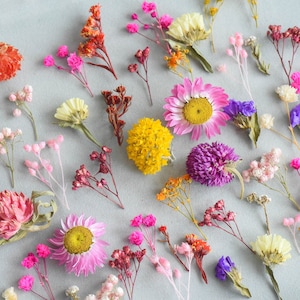 Dried flowers for resin, 60 pcs, dry mini flowers, dried baby breath flowers, mini flowers set, gypshophila, phalaris, Ozothamnus flowers