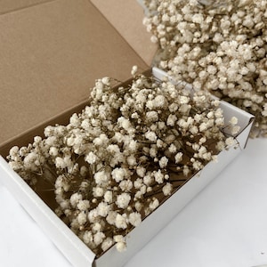 Baby breath preserved flowers, white preserved gypsophila, natural baby's breath stems for bouquet
