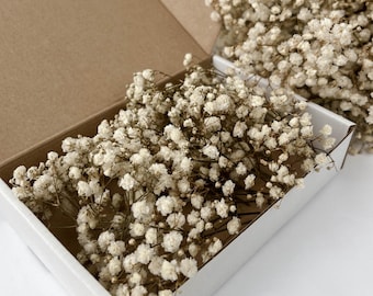 Geconserveerde baby's Breath gedroogde bloem kleine stelen, witte gipsboeketvuller, bruiloftsbloemen, tafeldecor