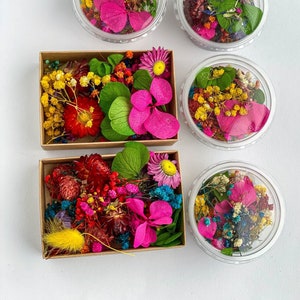 Dried flowers for resin jewelry, tiny flowers for resin crafts, Mini garden supplies, Mini flower mix for resin, Gypsophila Hydrangea