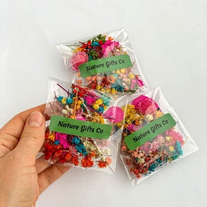 Dried flowers for resin jewelry, Baby Breath Gypsophila tiny flowers,mini dry flowers for resin, Pink purple flower box, resin plants crafts